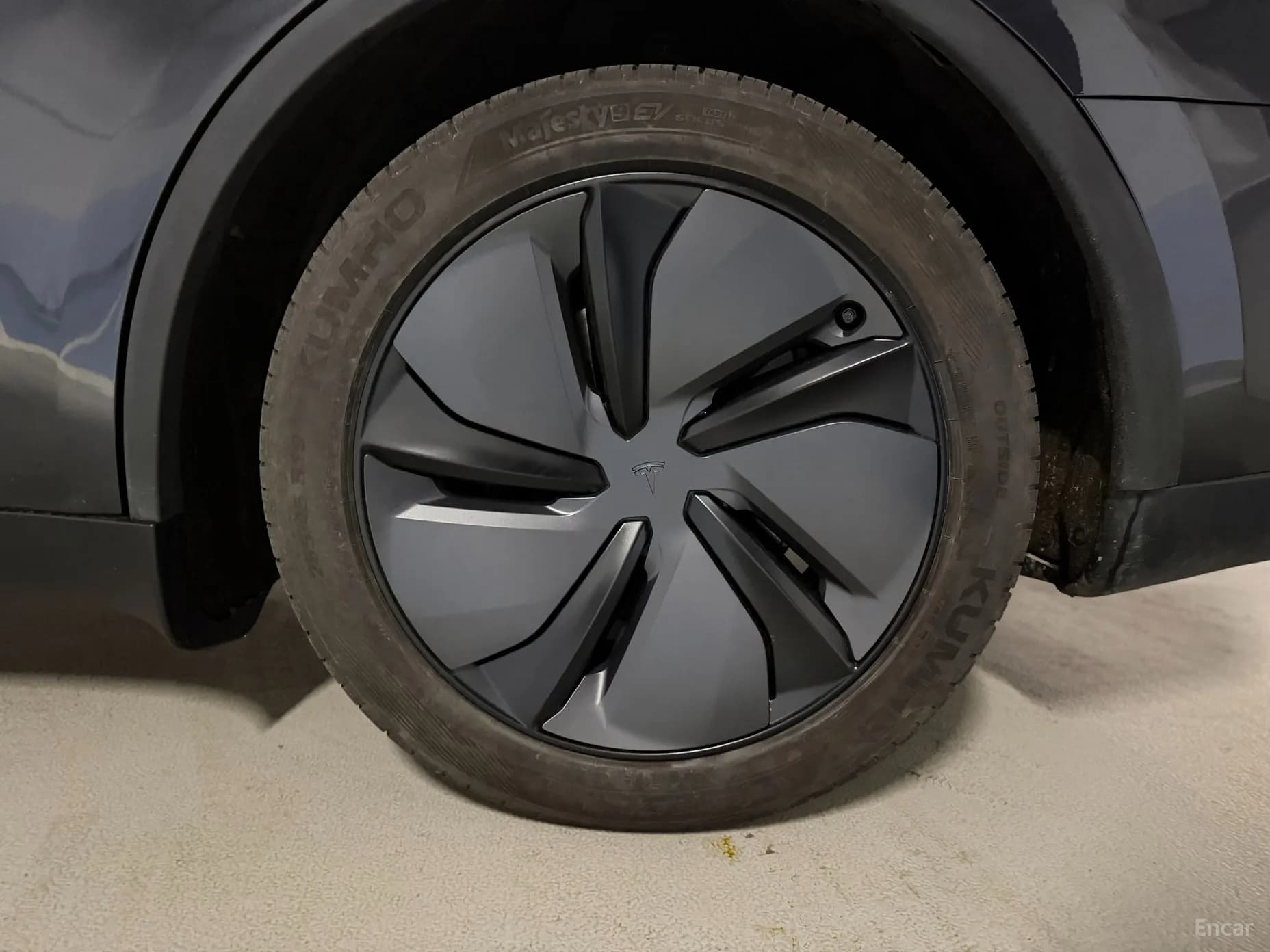 Model Y
