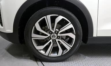 Berry New Tivoli