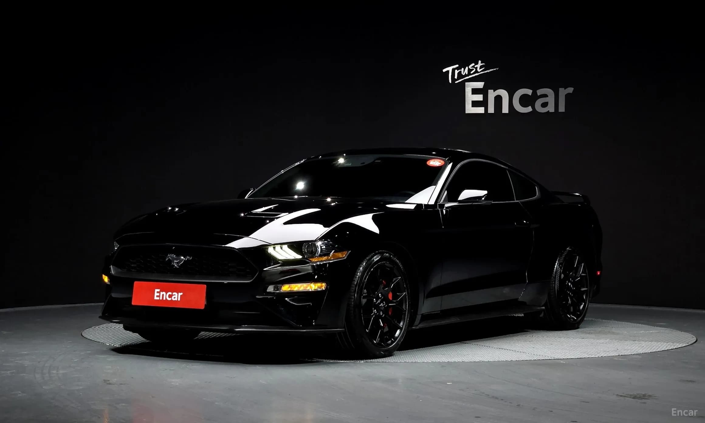 Mustang