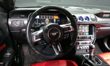 Mustang
