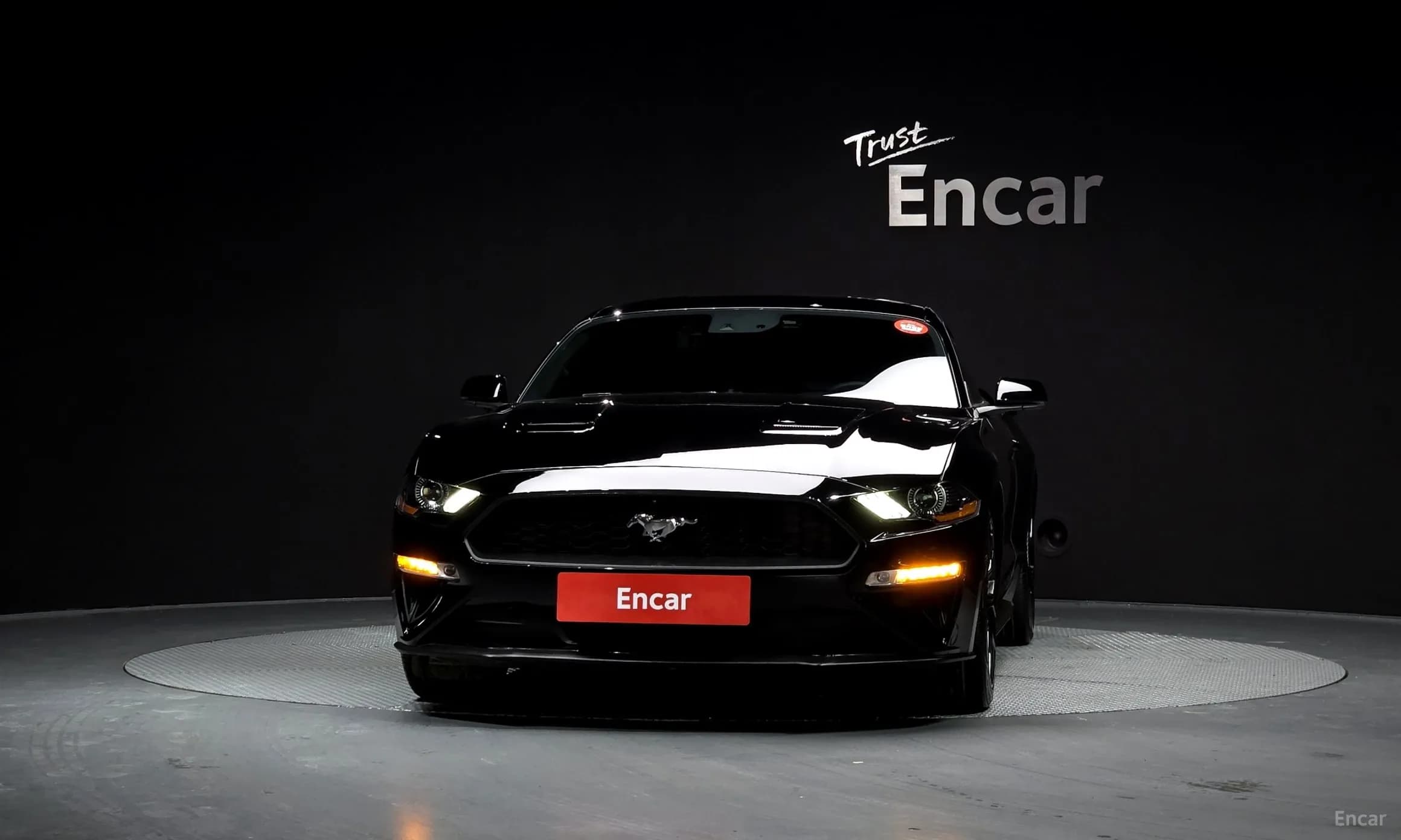 Mustang