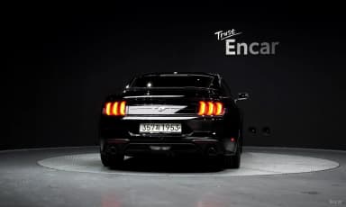 Mustang