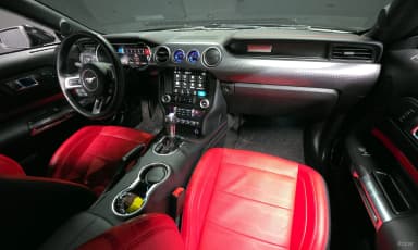 Mustang