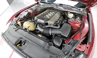 Mustang
