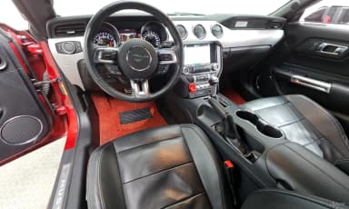 Mustang