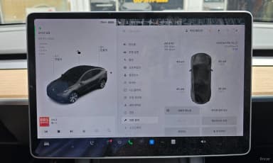 Model Y