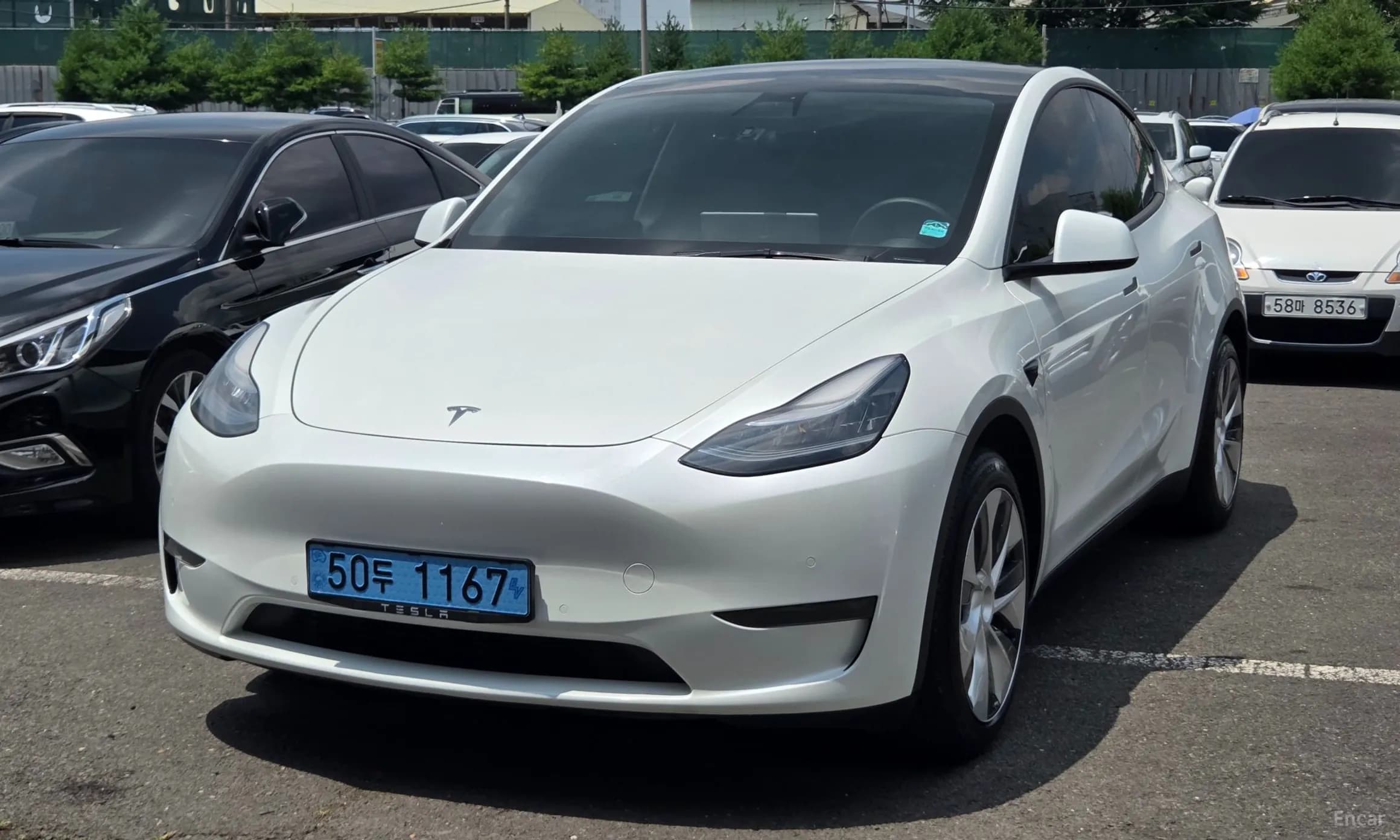 Model Y