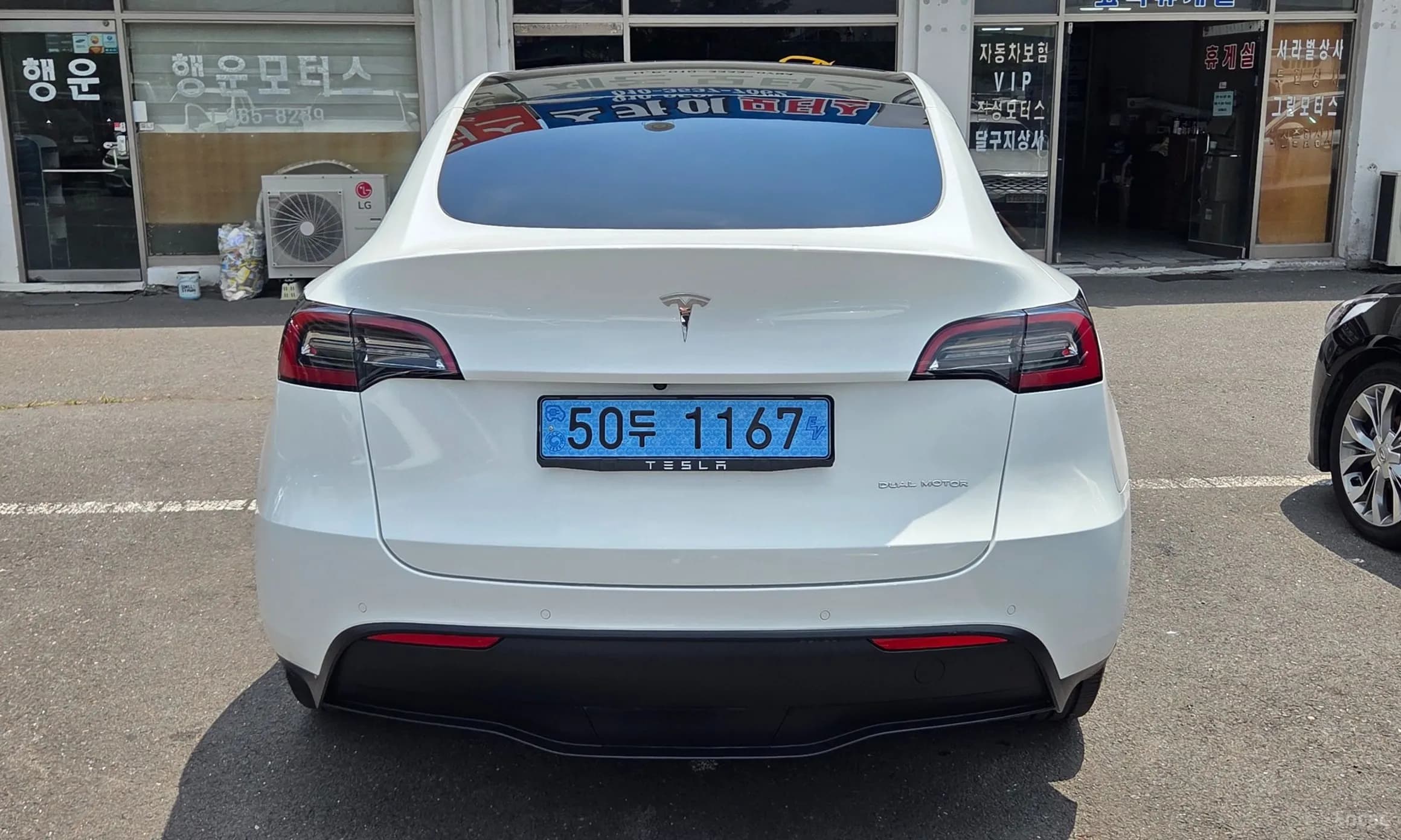Model Y