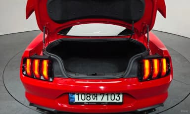 Mustang