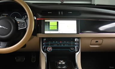 XF (x260)