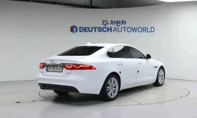 XF (x260)