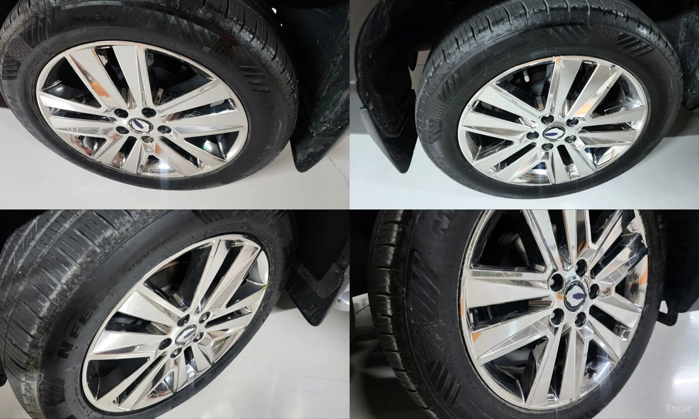 Rexton Sports