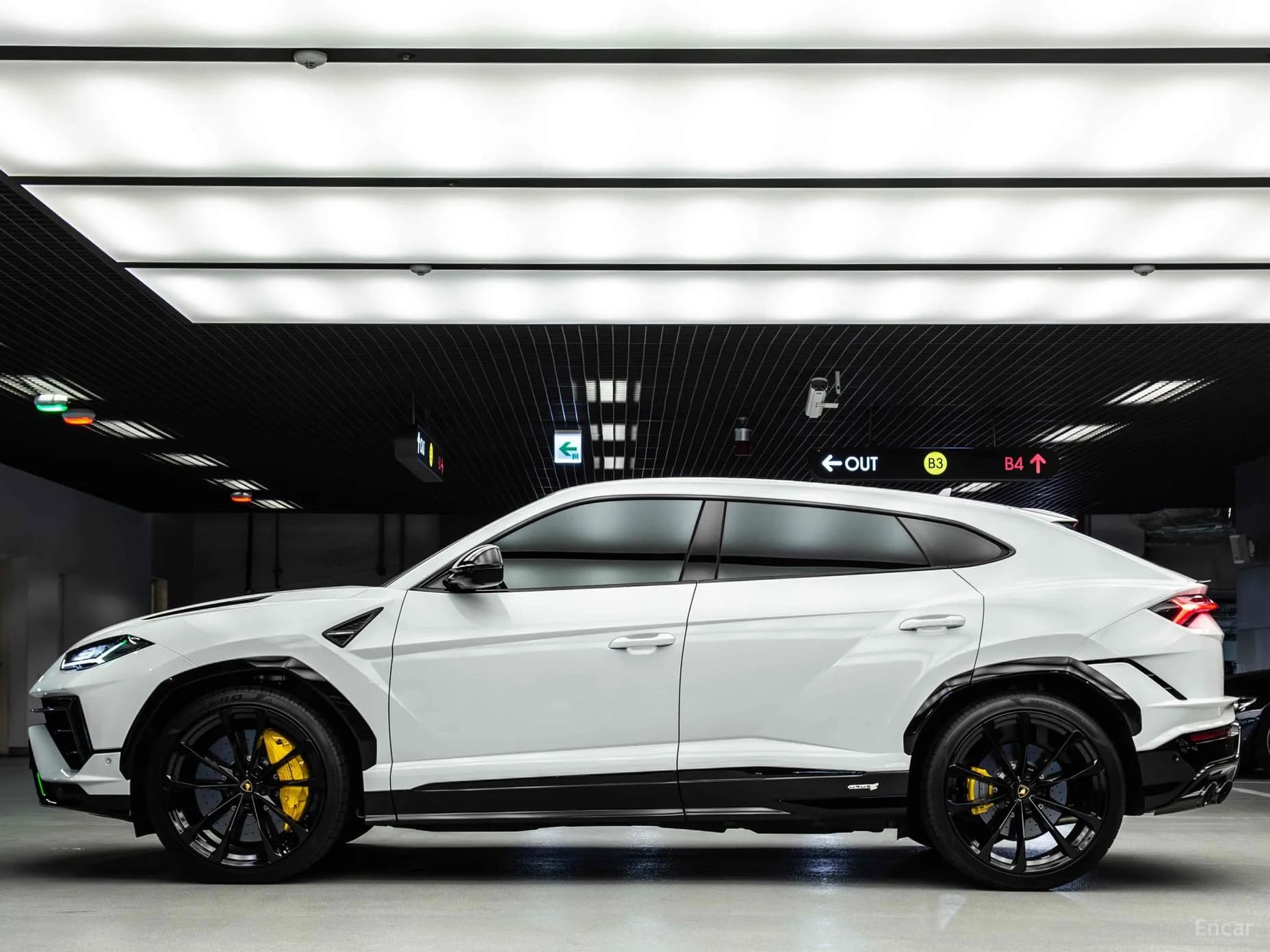 Urus