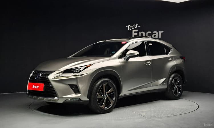 NX300h