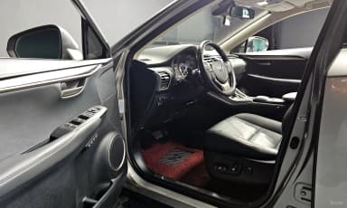 NX300h