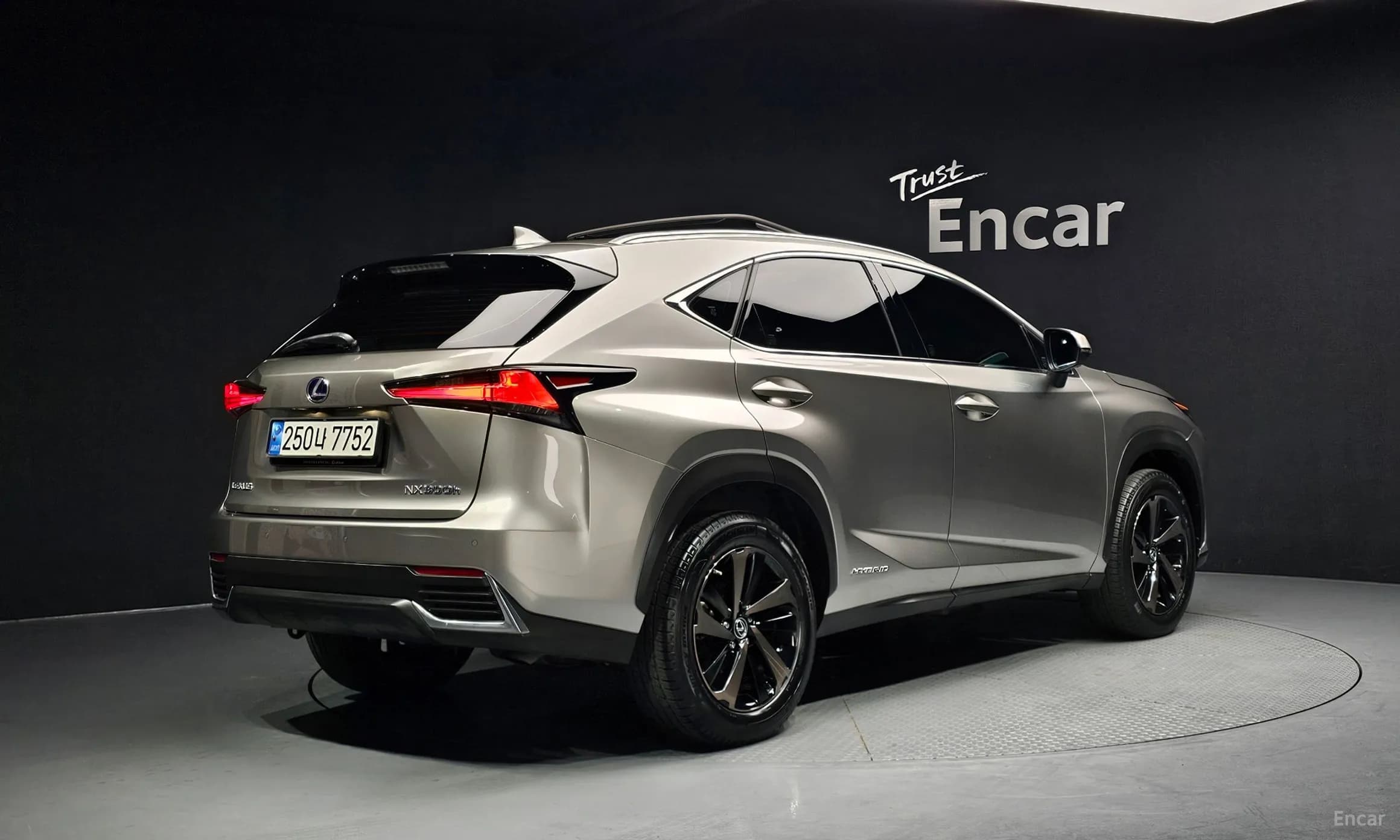 NX300h