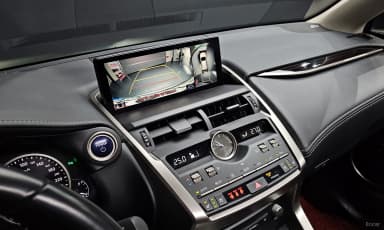 NX300h