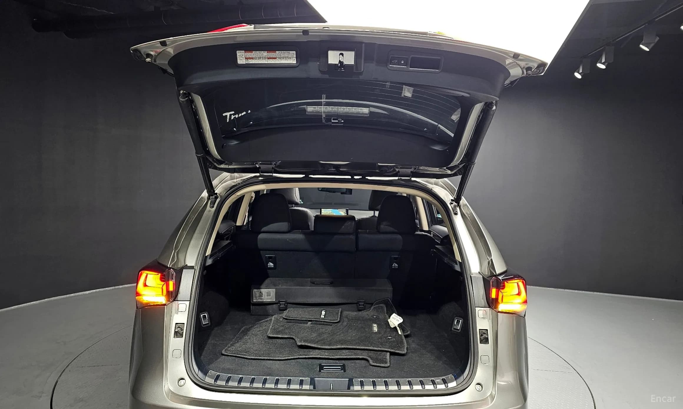 NX300h