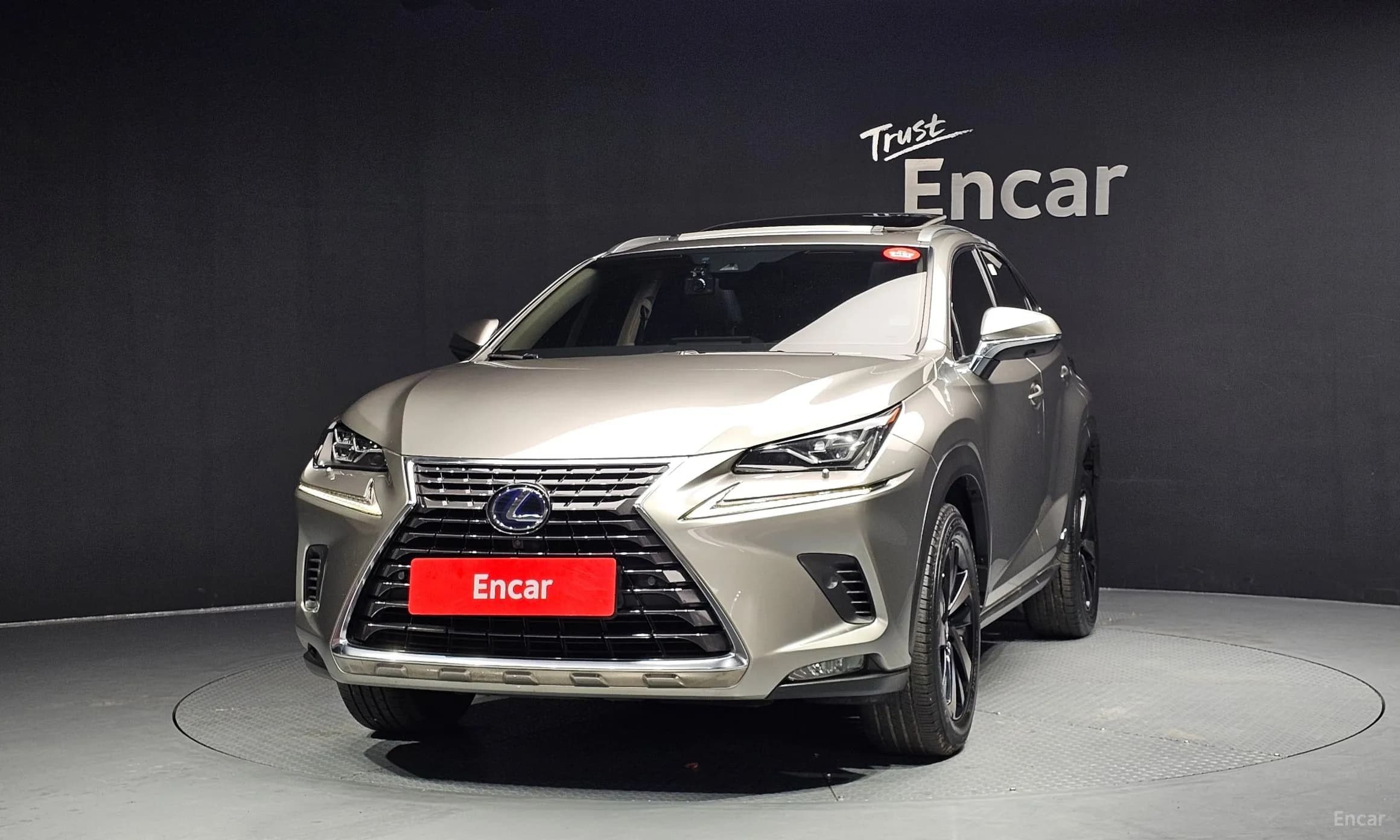 NX300h