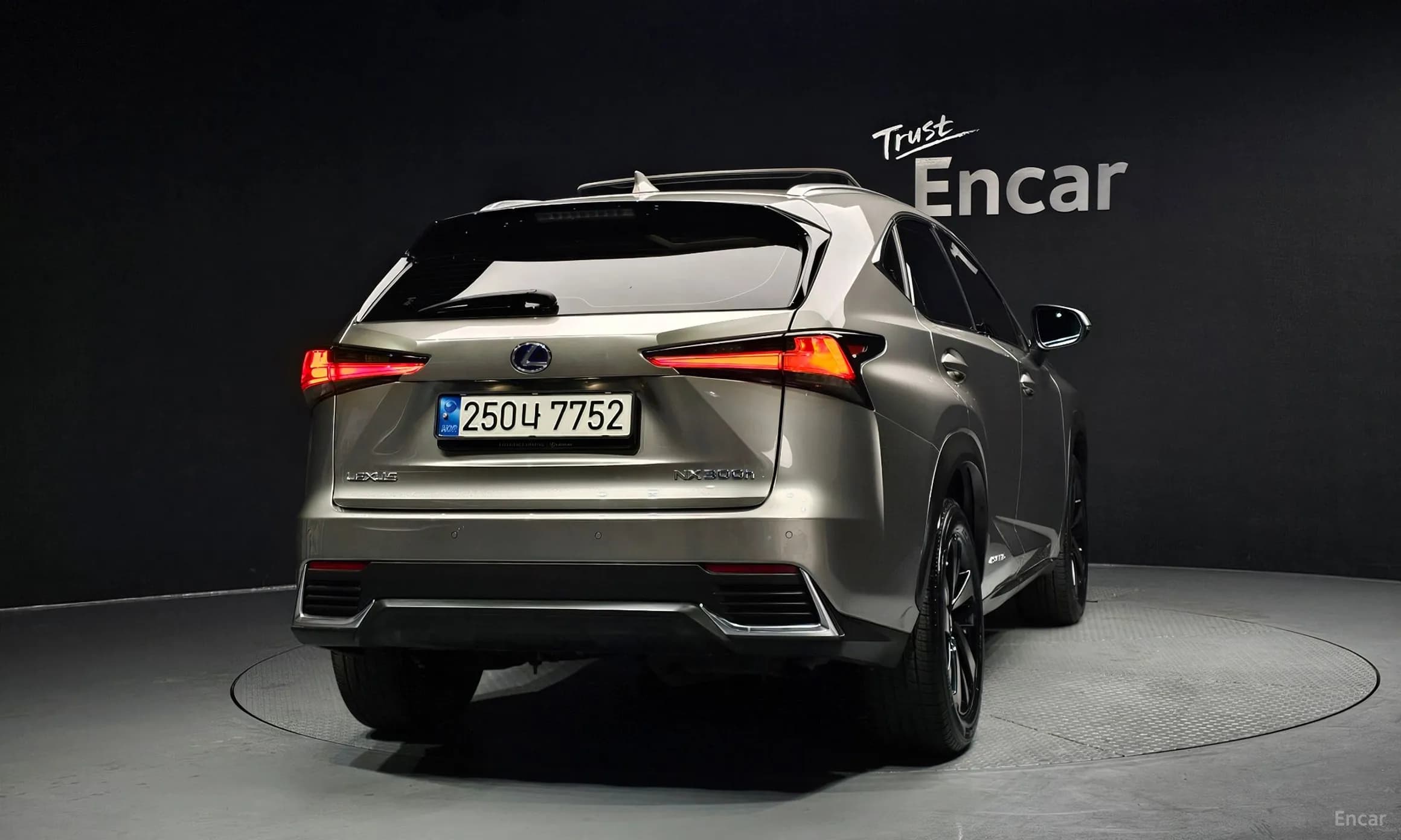 NX300h