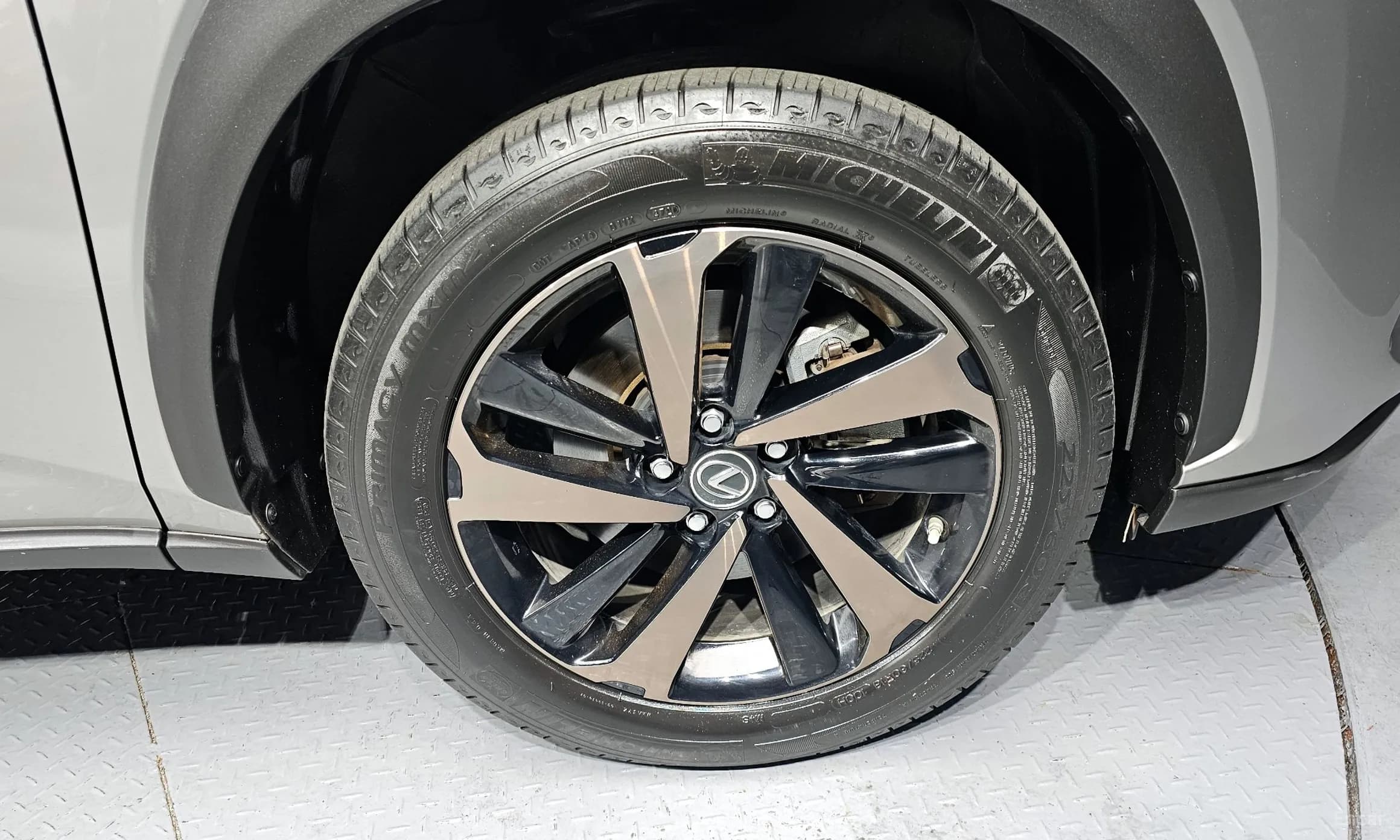 NX300h