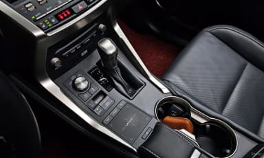 NX300h