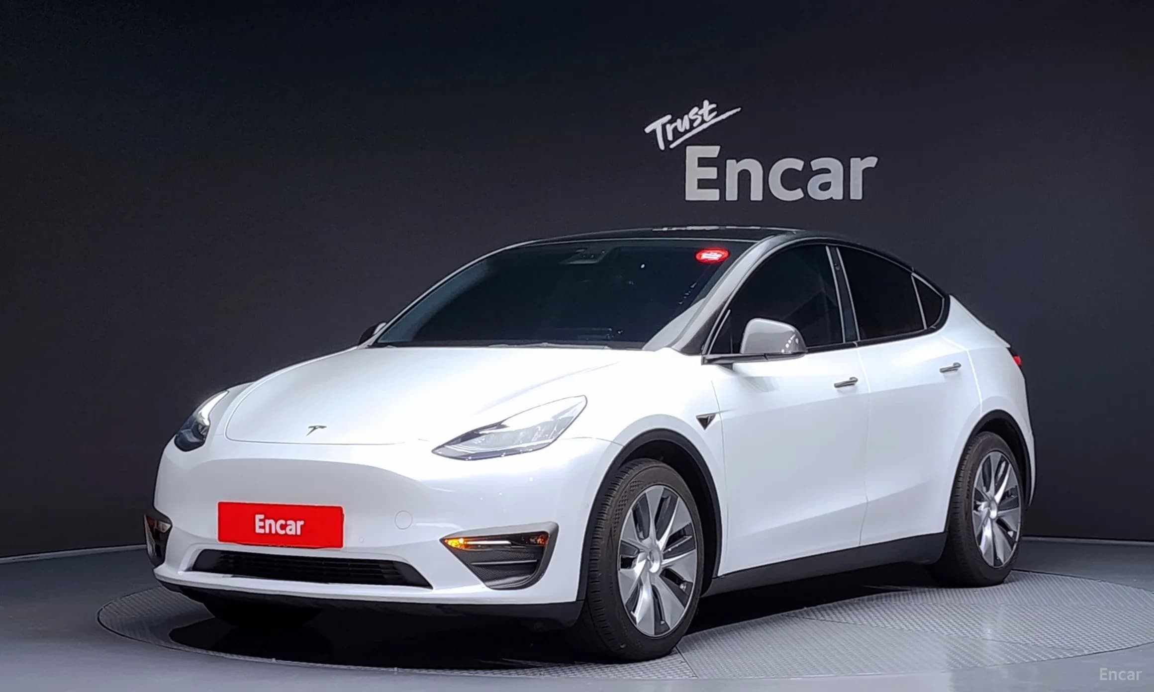 Model Y