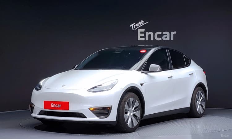 Model Y