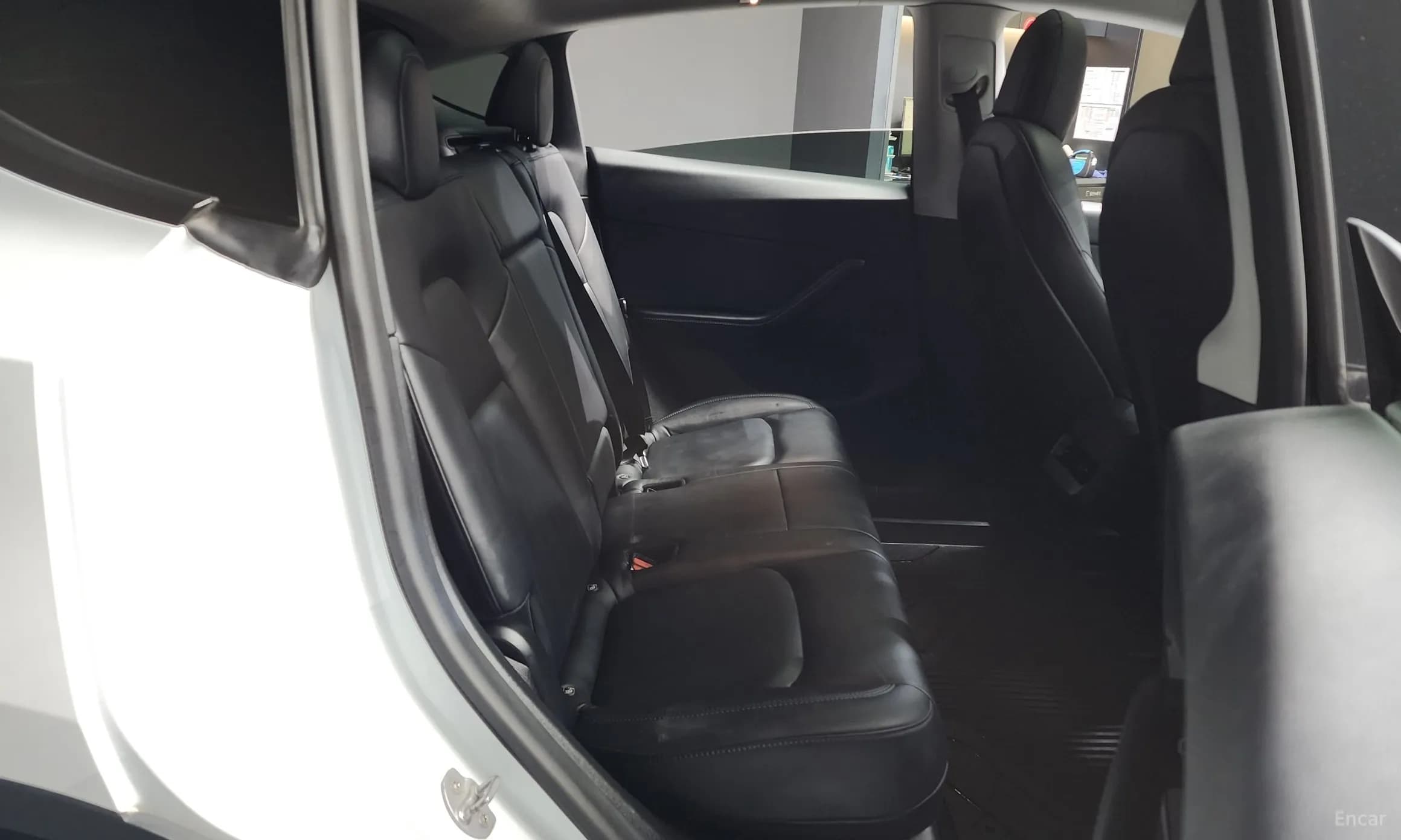 Model Y