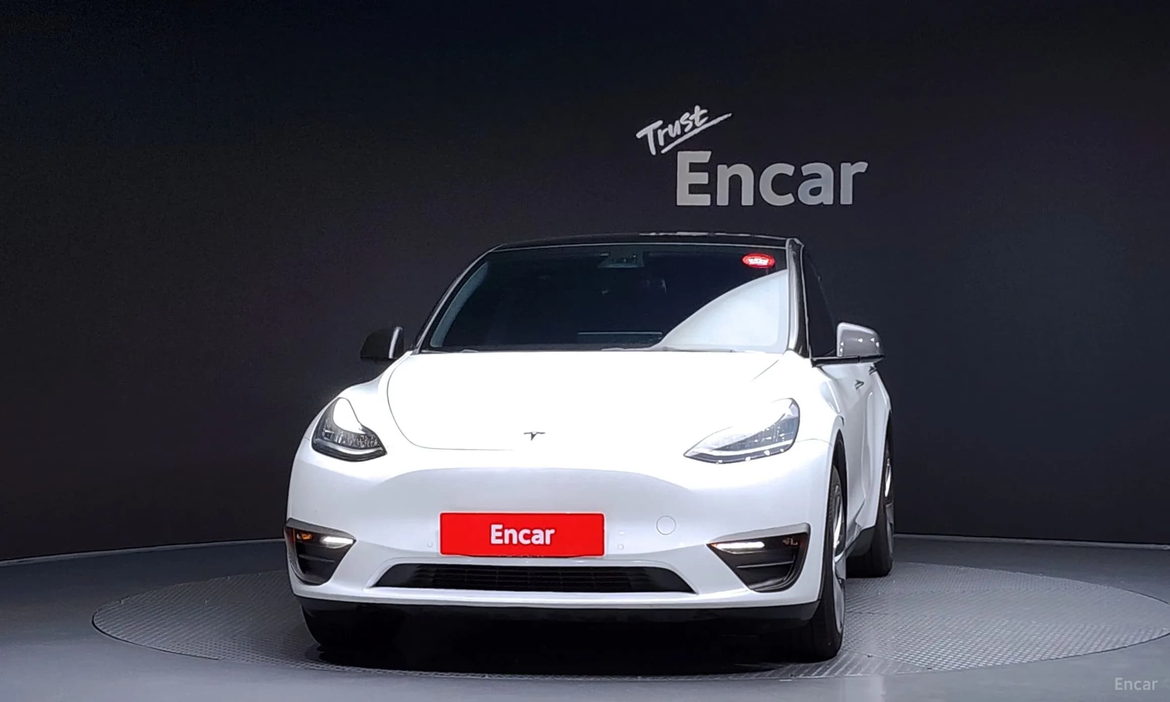 Model Y