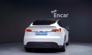 Model Y
