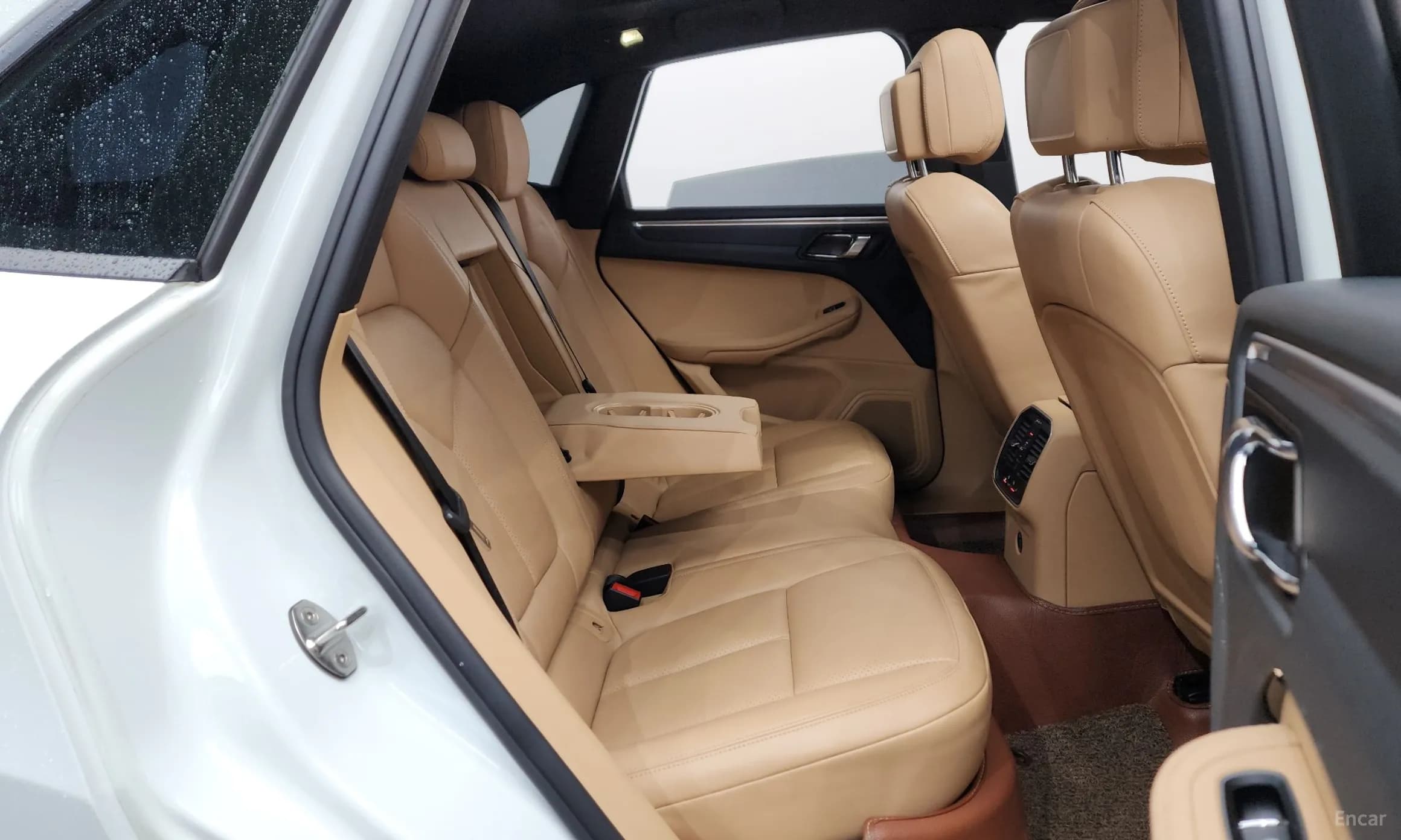 Macan