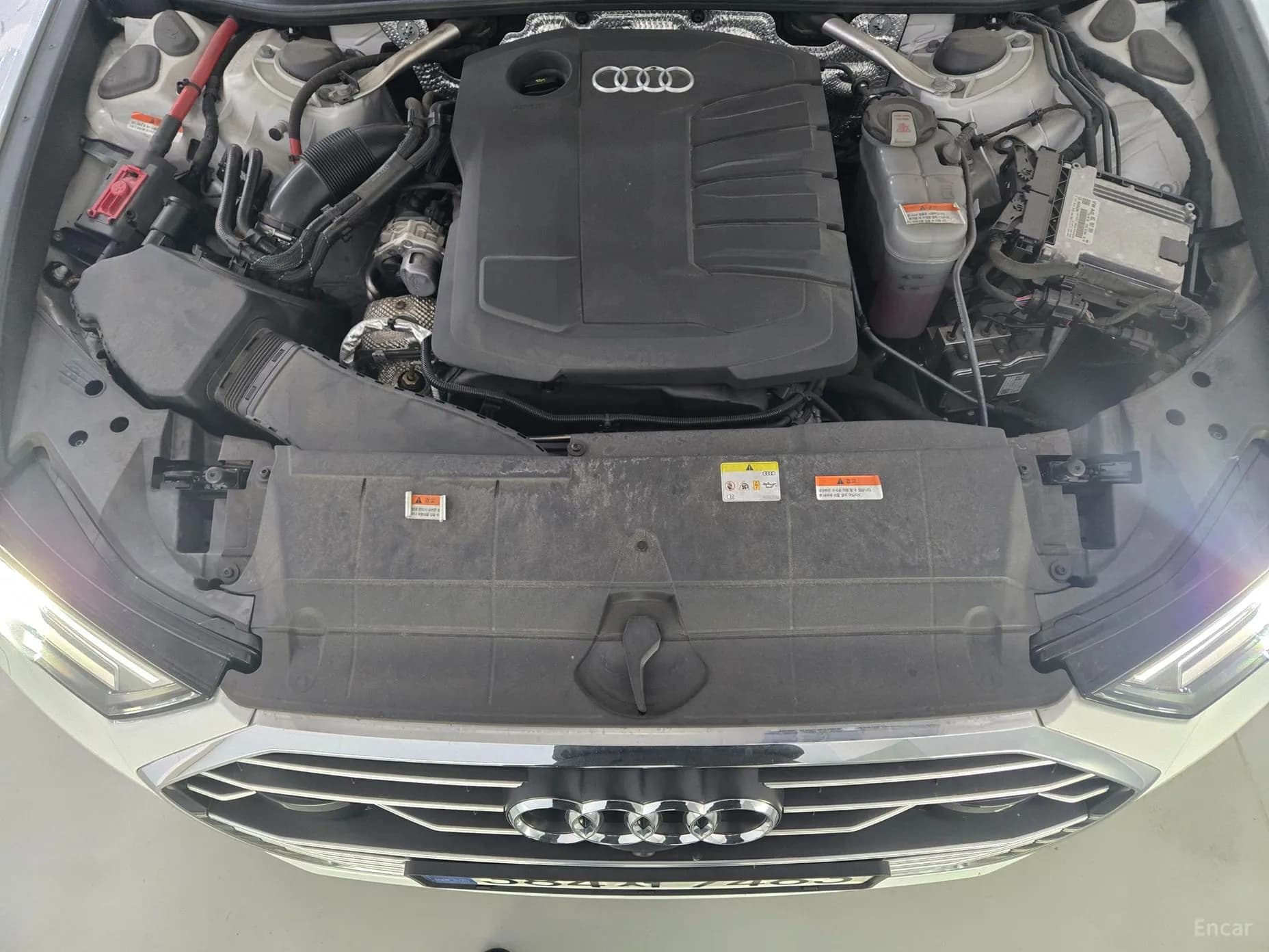 A6 (C8)