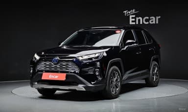 RAV4 5th Generation