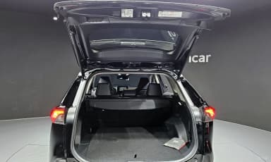 RAV4 5th Generation