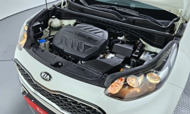 Sportage The Bold