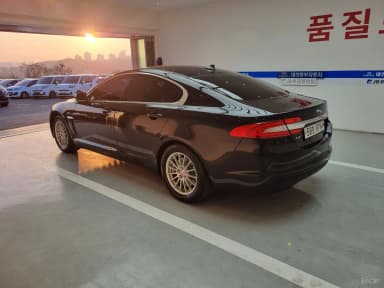 New XF