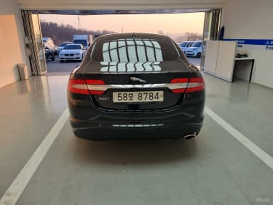 New XF