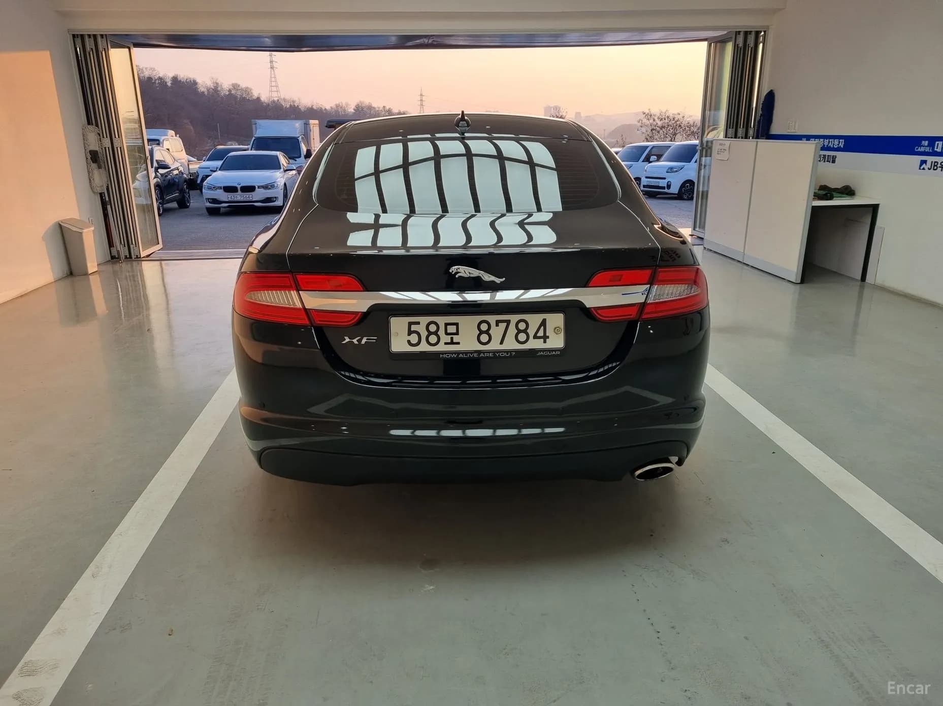 New XF