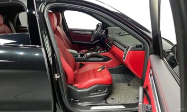Cayenne (PO536)