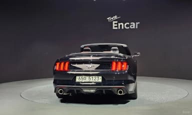Mustang