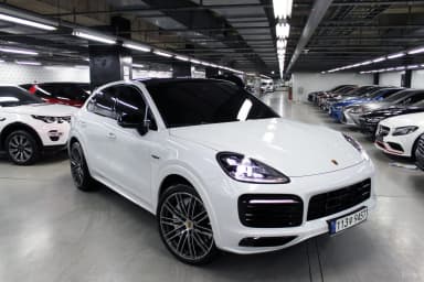 Cayenne (PO536)