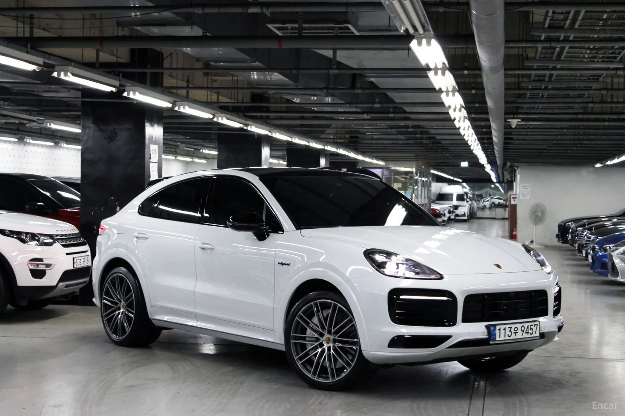 Cayenne (PO536)