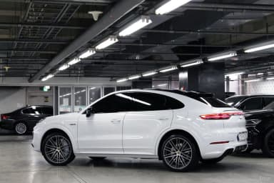 Cayenne (PO536)