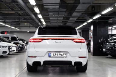Cayenne (PO536)
