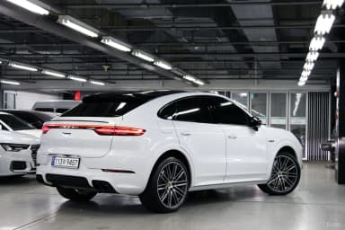 Cayenne (PO536)