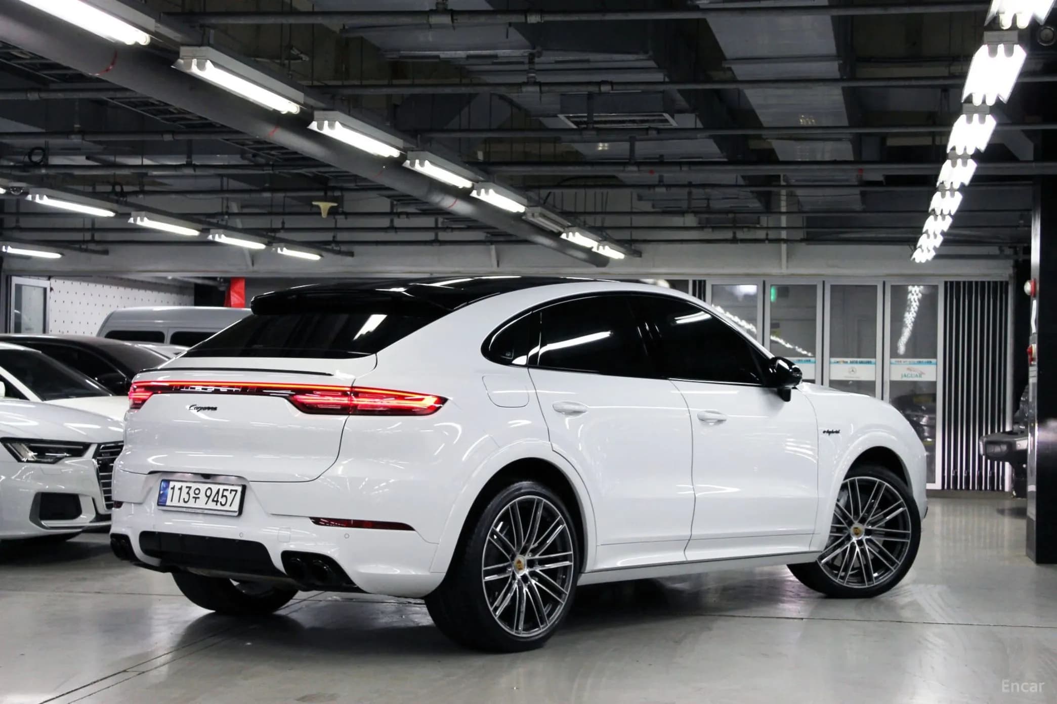 Cayenne (PO536)