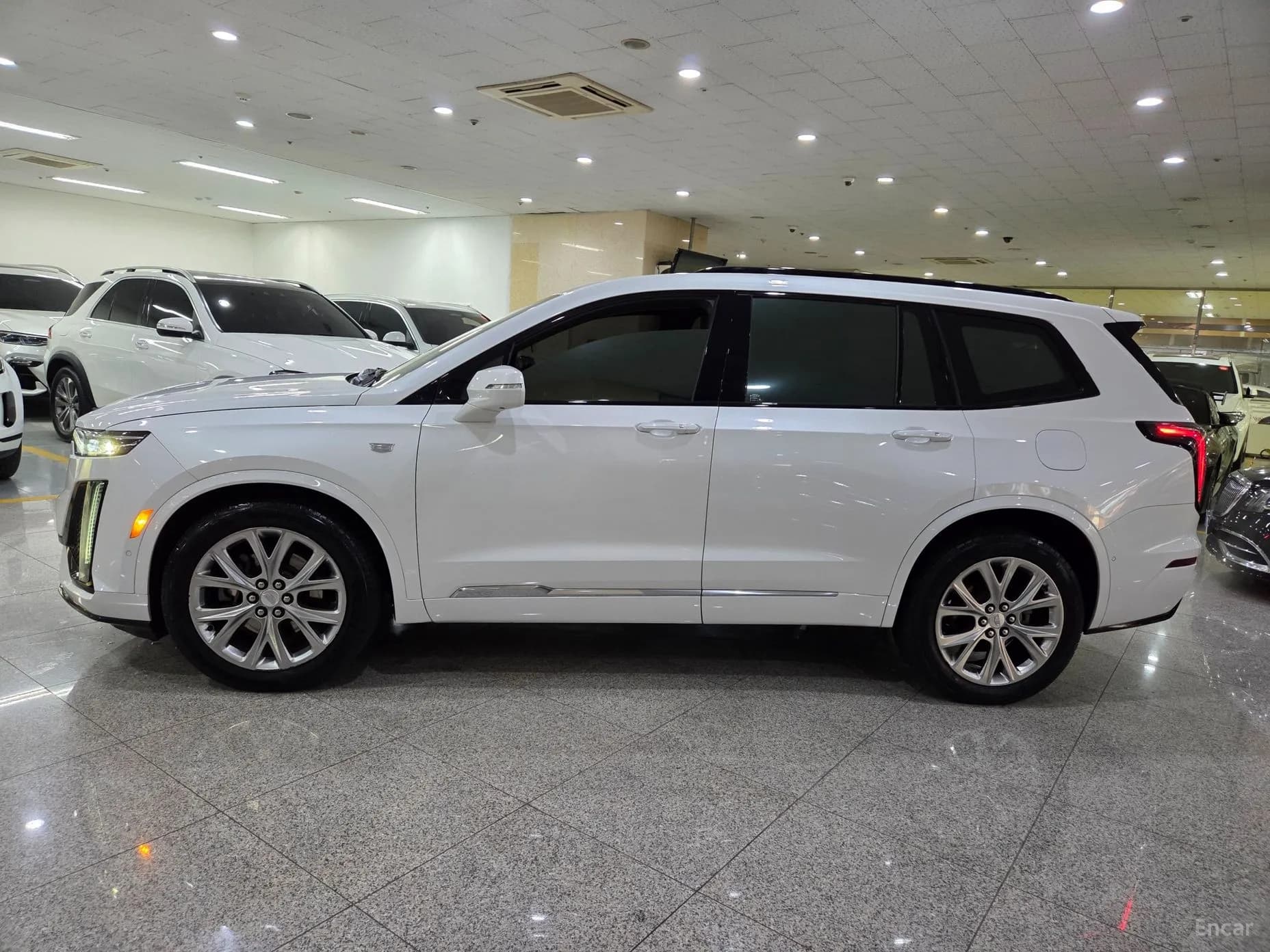 XT6