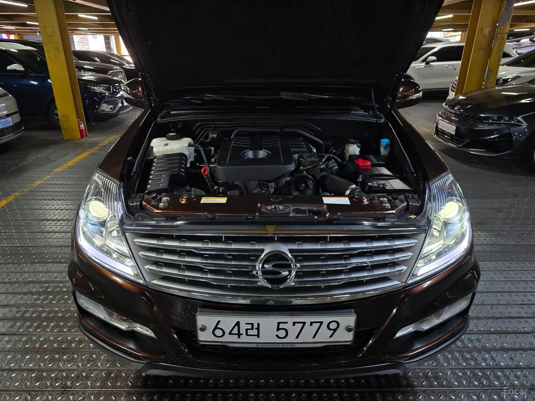 Rexton W