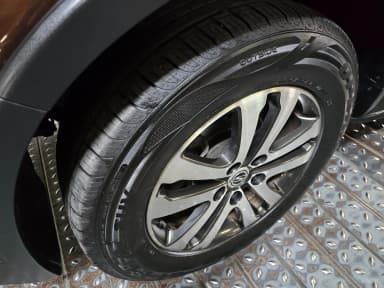 Rexton W